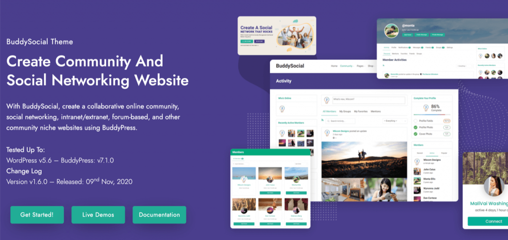 BuddySocial theme